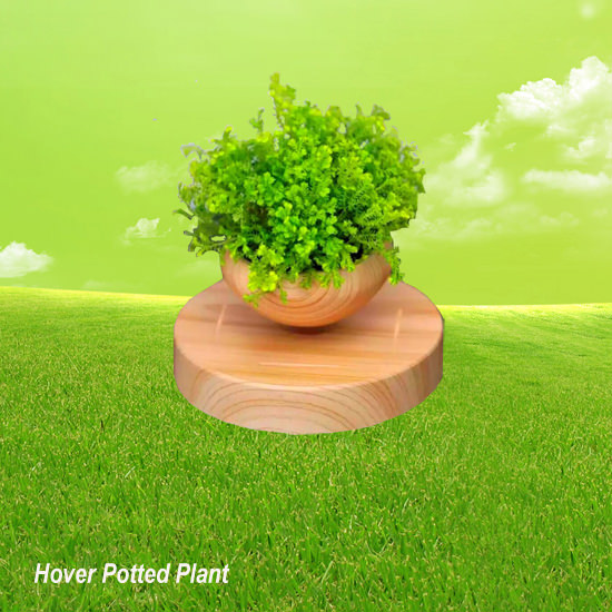 Hover  Potted  Plant
